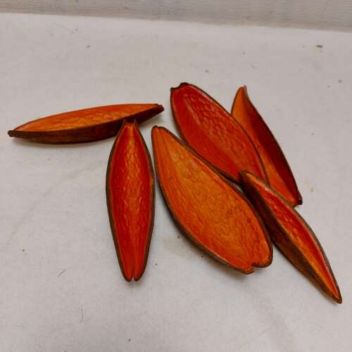 Canoinha Laranja