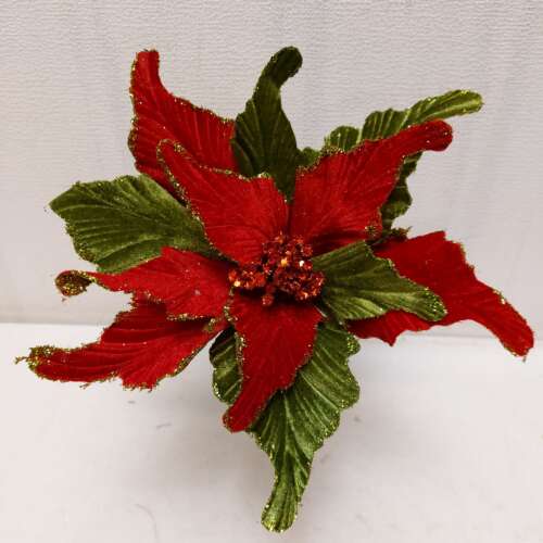 Poinsettia red green