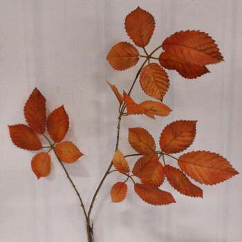 Copper leaf kunst
