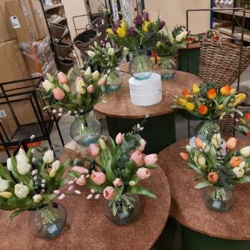 Tulpen