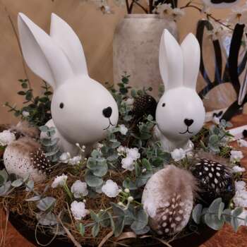 Sweet Bunny's