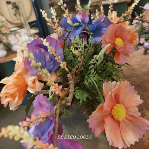 Lathyrus en cosmos