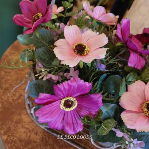 Cosmos