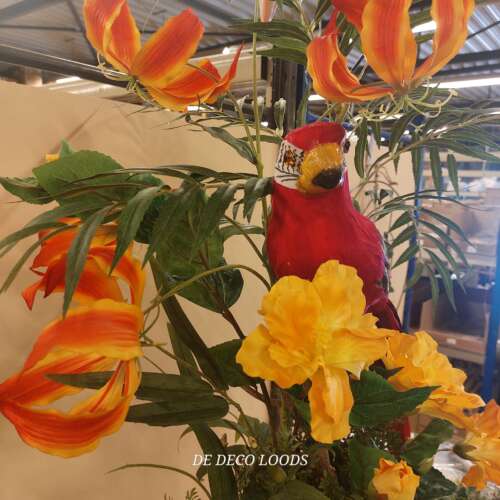 Gloriosa