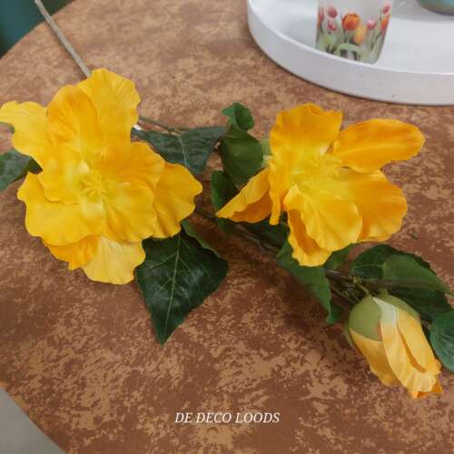 Hibiscus geel