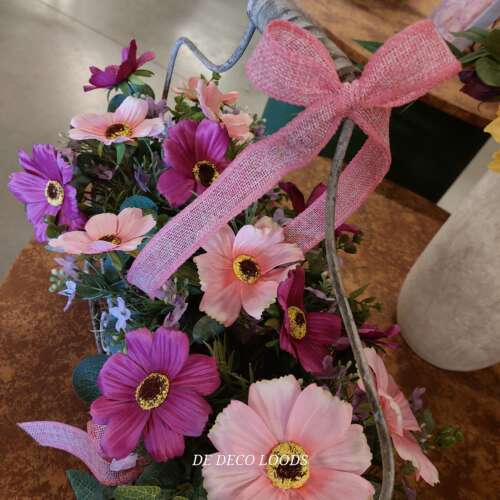 Jolie planter roze