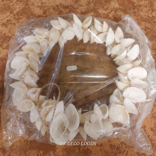 Schelpen ring 32cm