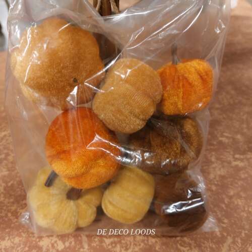 Small velvet pumpkins