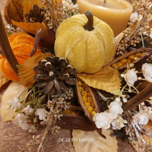 Denneappels en Brachychiton