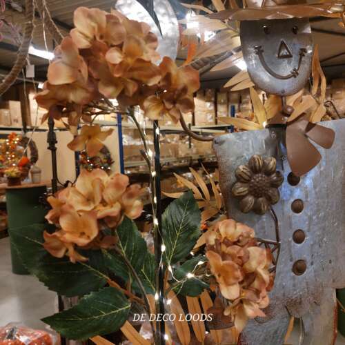 Hortensia bruin