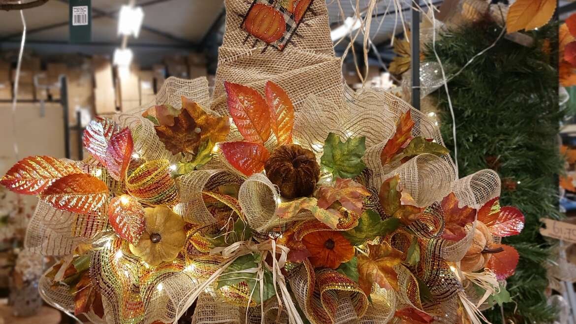 Heksenhoed herfst