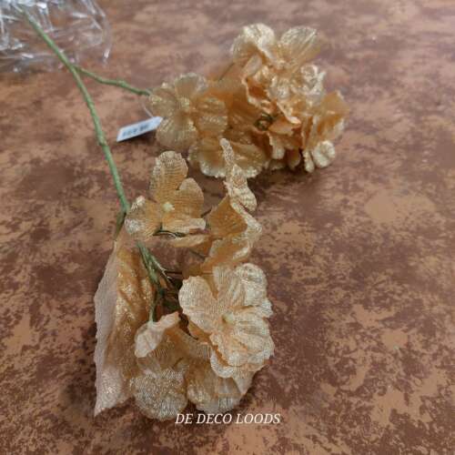 Hortensia goud shimmer