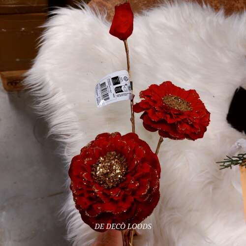 Kerstbloem Zinnia rood