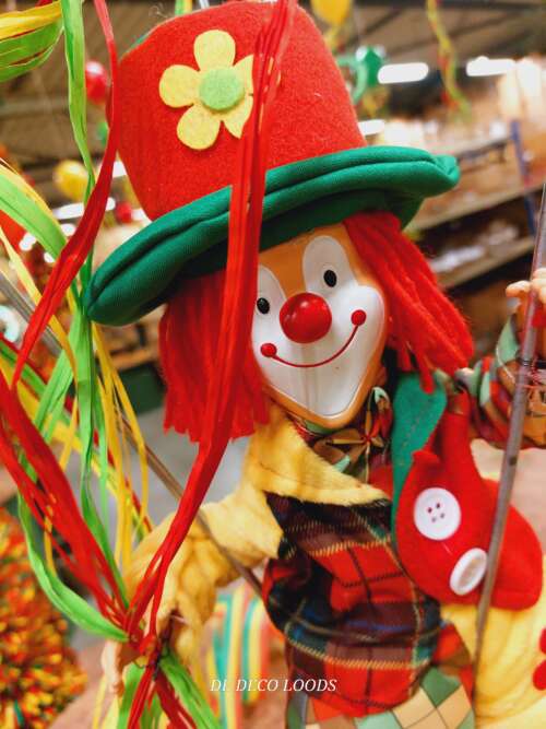 Carnavals clown Harrie