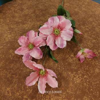 Clematis roze