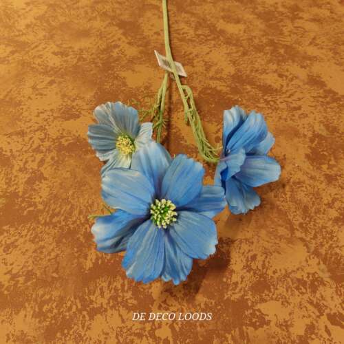Cosmos blauw