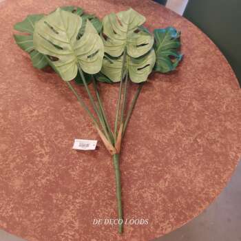 Monstera plant pick