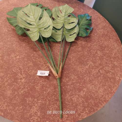 Monstera plant pick