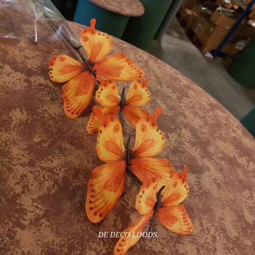 Vlindertak oranje