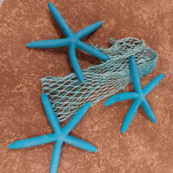 Blauwe zeesterren en net