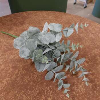 Eucalyptus bundel kunst