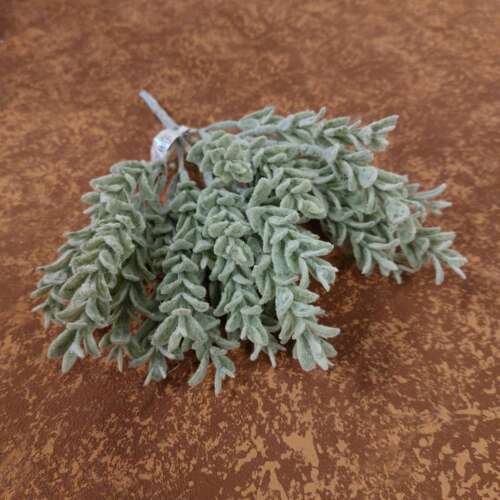Green leafs bush