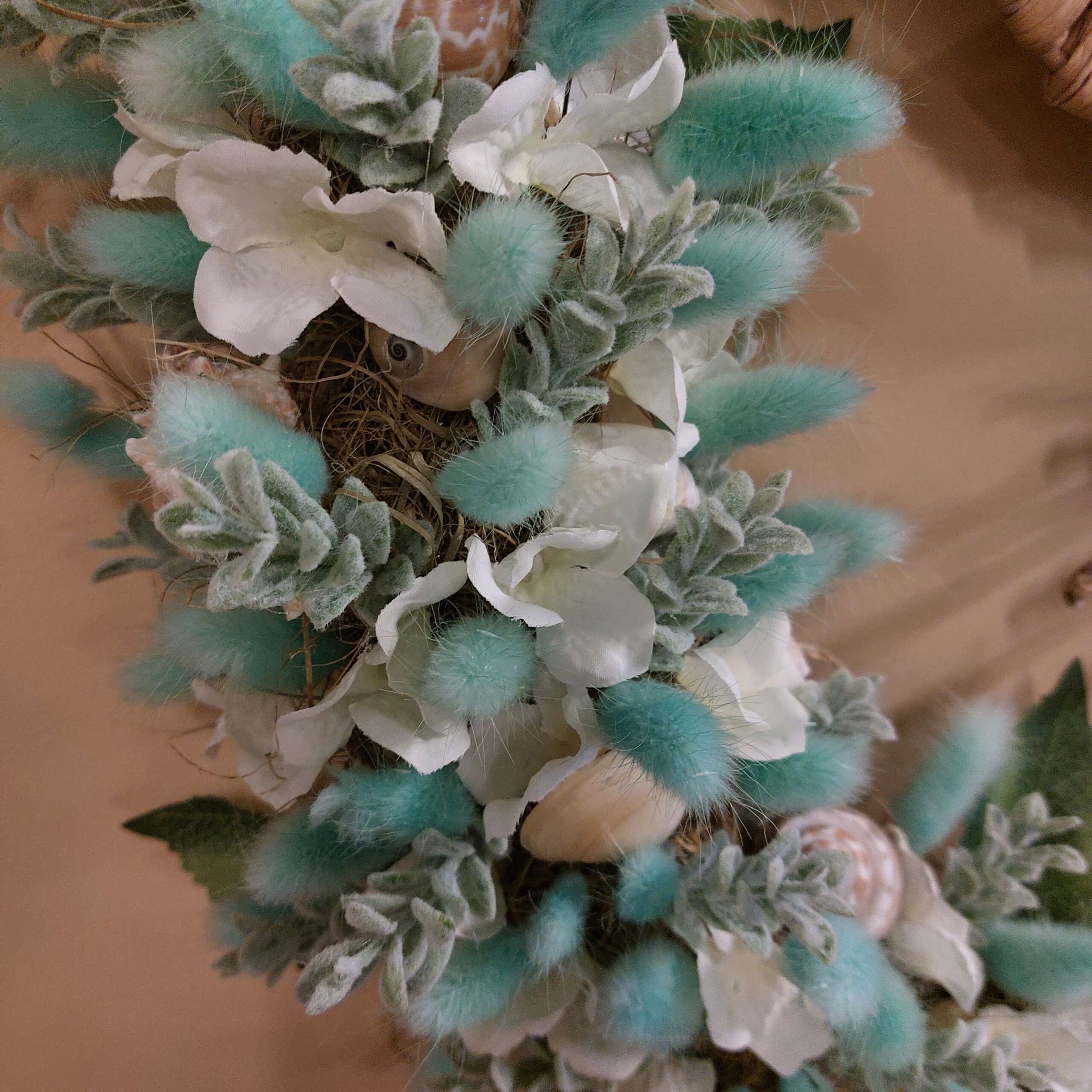 Lagurus aqua