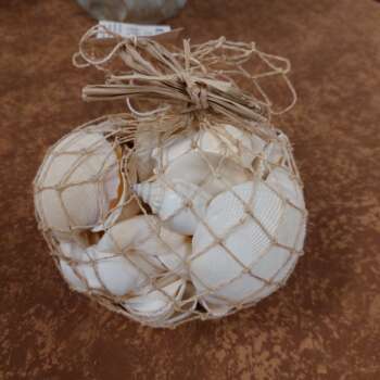 Schelpen mix naturel