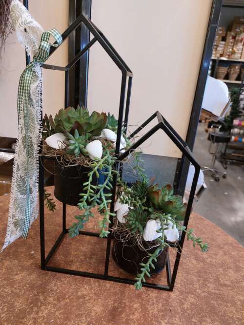 Greenery house.