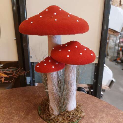 Paddenstoelen xl