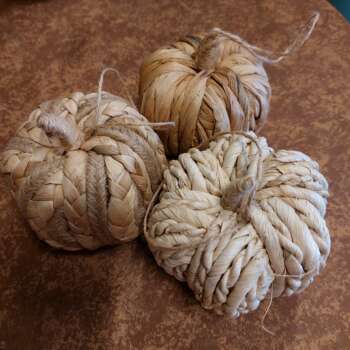 Pompoen beige 10cm