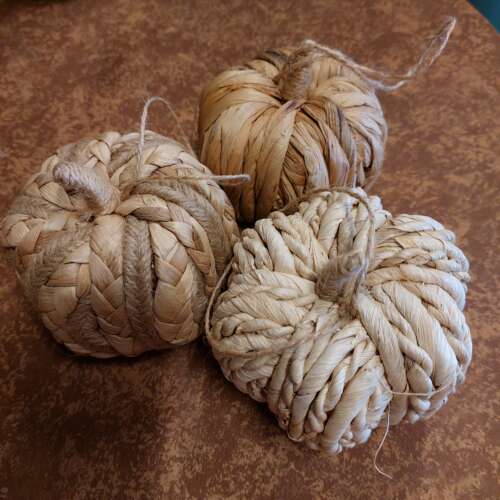 Pompoen beige 10cm