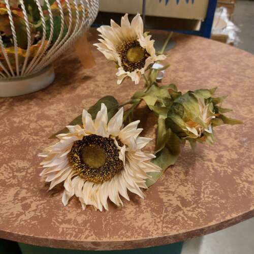Zonnebloem creme