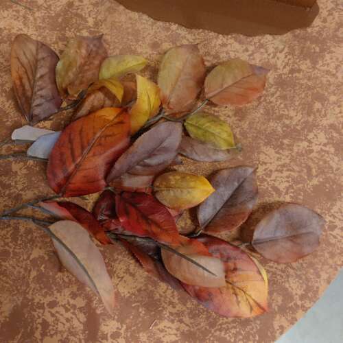 Herfstblad mix