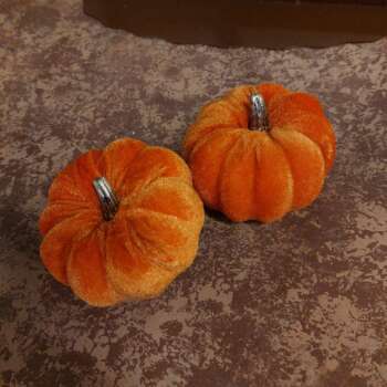 Pompoen 10cm velvet
